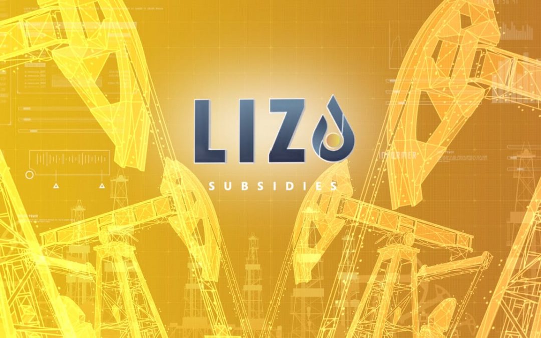 Lizo | Digital transformation in the oil & gas industry: seamless scaling and automatic updating