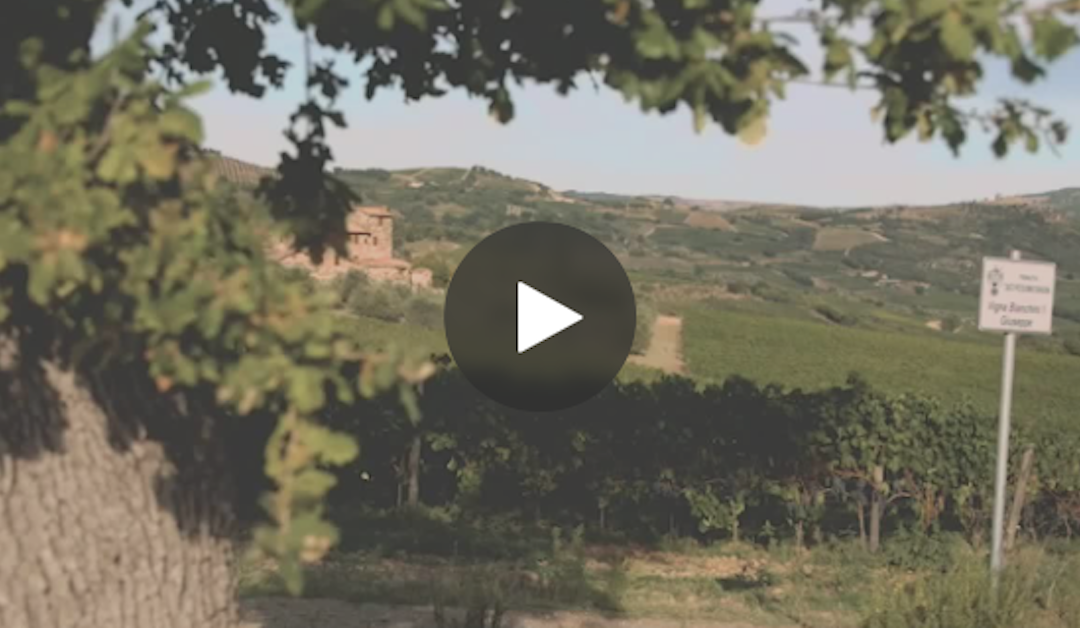 Ciacci Piccolomini d’Aragona winery creates a perfect blend of tradition and technology with Microsoft Teams