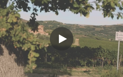 Ciacci Piccolomini d’Aragona winery creates a perfect blend of tradition and technology with Microsoft Teams